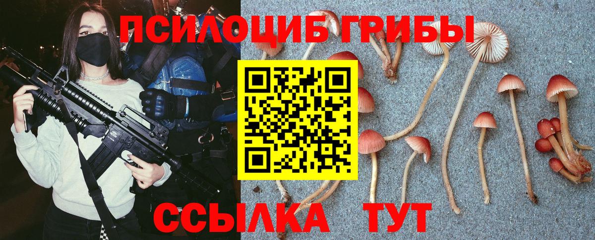 Галлюциногенные грибы мицелий Жигулёвск